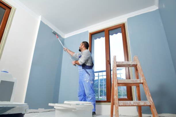 Best Drywall Crack Repair  in Amity Gardens, PA